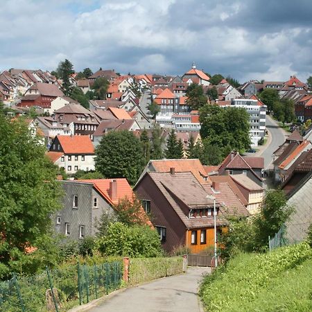 Ferienwohnung Wiesenblick Mit Terrasse Im Landhaus Fischer Sankt Andreasberg Eksteriør billede